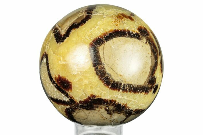 Polished Septarian Sphere - Madagascar #260031